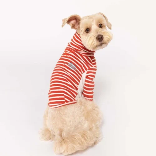 Stripe Tee Rust and Ivory